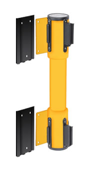 WallMaster Twin Removable Mounting
